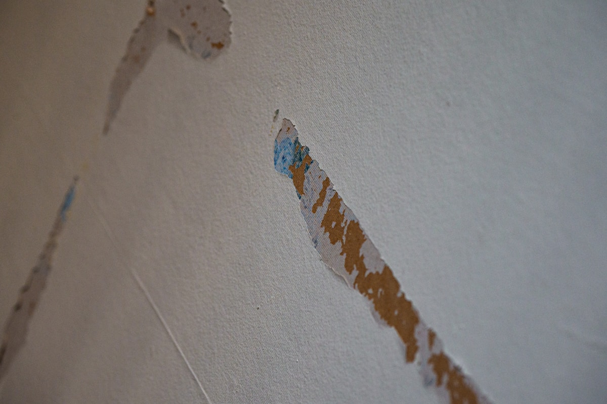 Basement Water Removal service in Asheville, NC